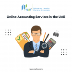 Online Accounting Services in the UAE