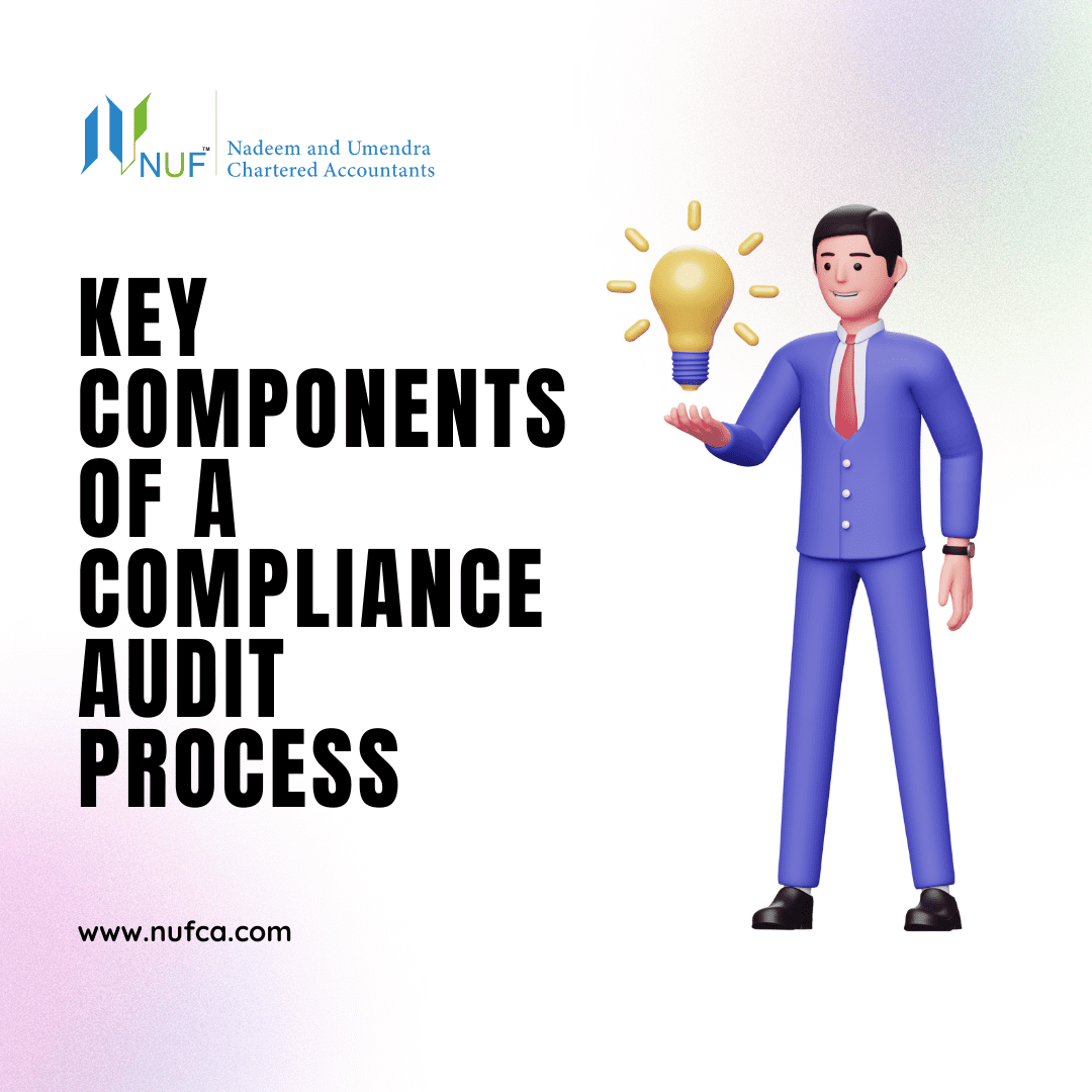 Compliance Audit Process