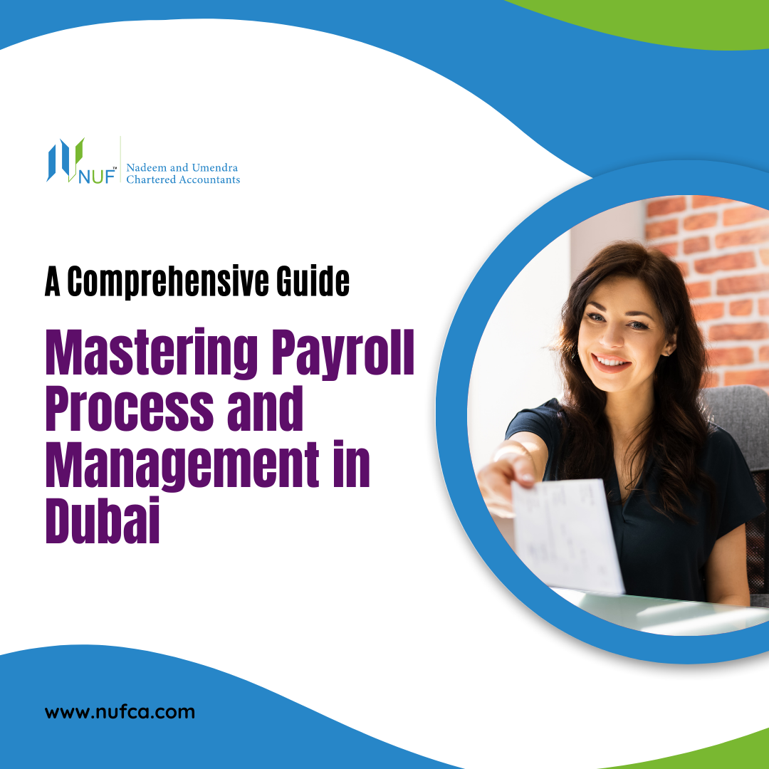 Mastering Payroll Process and Management in Dubai