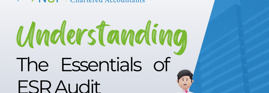 Essentials of ESR Audit