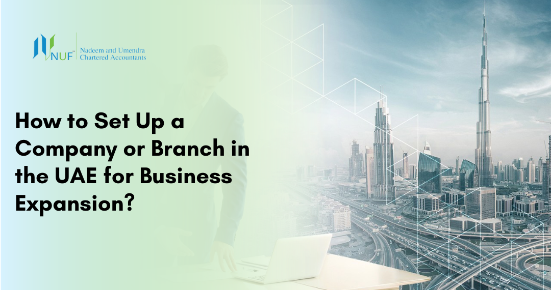 How to Set Up a Company or Branch in the UAE for Business Expansion?